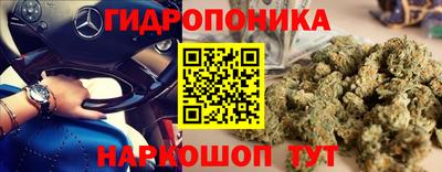 стаф Краснознаменск