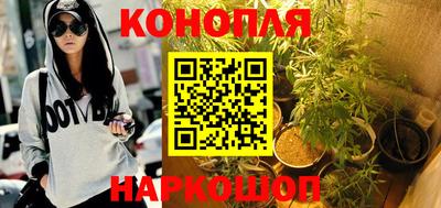 стаф Краснознаменск